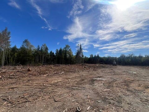 Photo of Lot 4.3 Off Estabrook Road, Cary Plt, ME 04471 (MLS # 1679596)