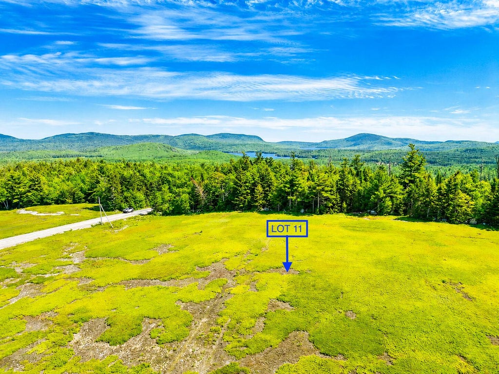 Photo of MAP13LOT11 Martins Ridge Road, Franklin, ME 04634 (MLS # 1674564)