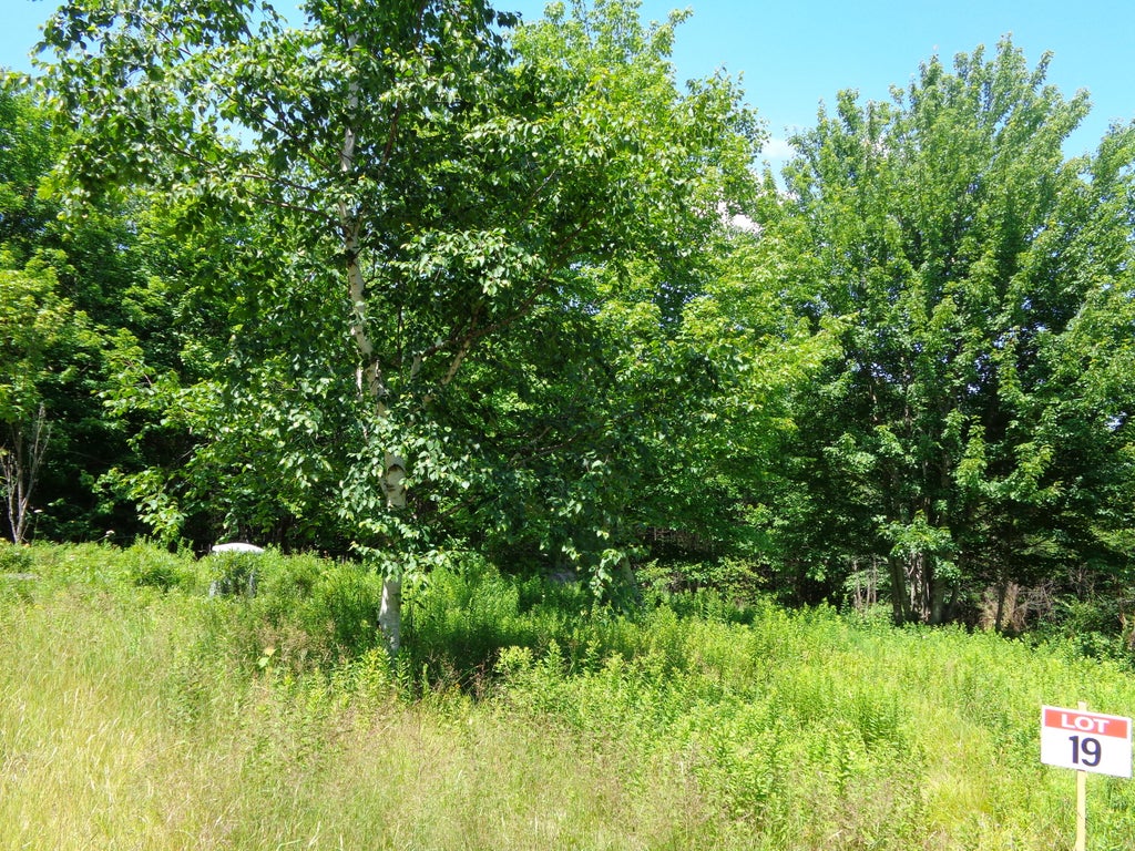 Photo of Lot 19 Bailey Mountain Road, Franklin, ME 04634 (MLS # 1661922)