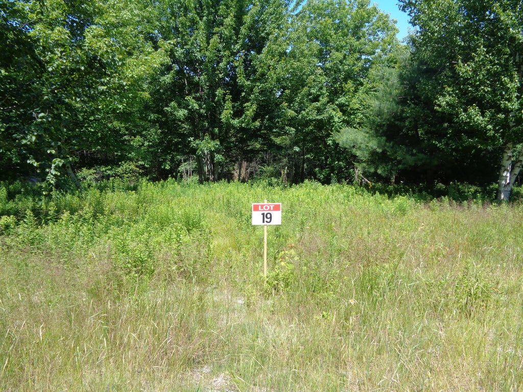 Photo of Lot 19 Bailey Mountain Road, Franklin, ME 04634 (MLS # 1661922)