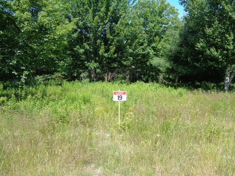 Photo of Lot 19 Bailey Mountain Road, Franklin, ME 04634 (MLS # 1661922)