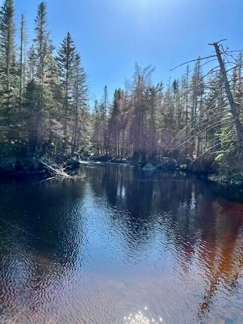 Photo of Lot 19-2 Valley Road, Columbia, ME 04623 (MLS # 1675378)