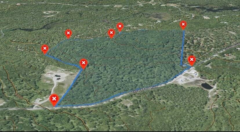 Photo of 75ac Colcord Pond Road, Porter, ME 04068 (MLS # 1672292)