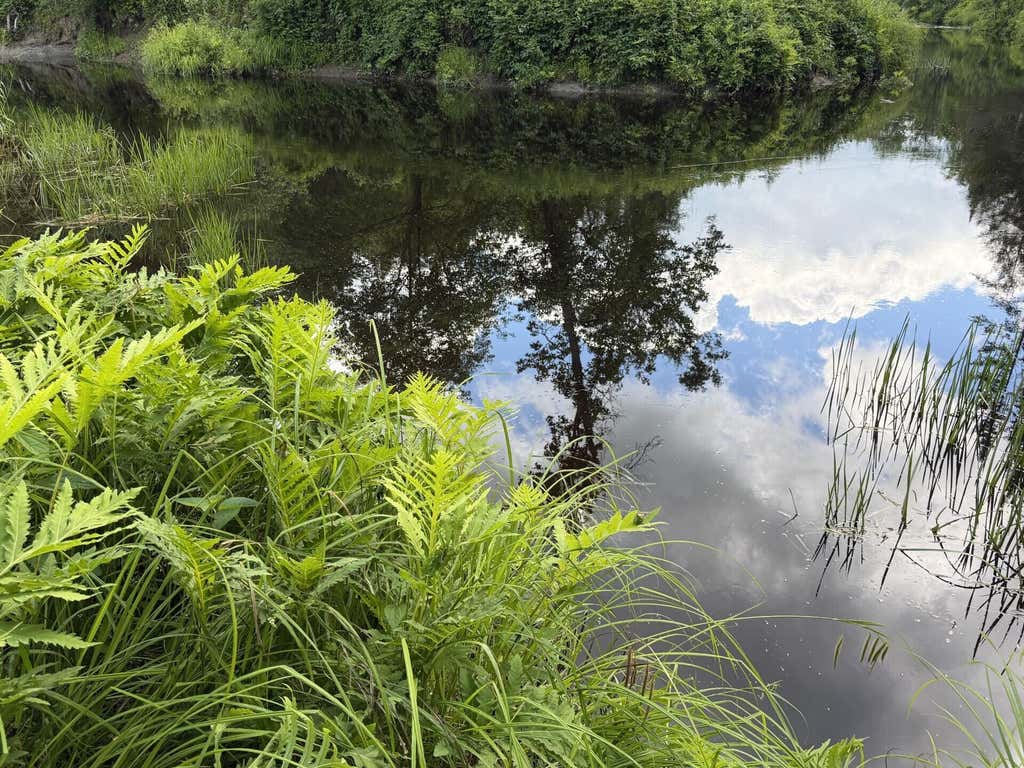 Photo of Lot 16-6 Norridgewock Road, Fairfield, ME 04937 (MLS # 1669620)