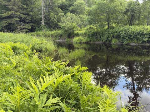 Photo of Lot 16-6 Norridgewock Road, Fairfield, ME 04937 (MLS # 1669620)
