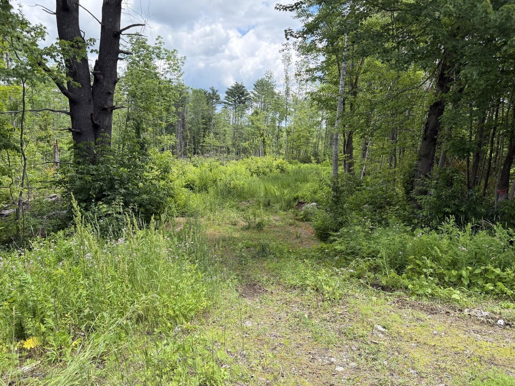 Photo of Lot 16-6 Norridgewock Road, Fairfield, ME 04937 (MLS # 1669620)