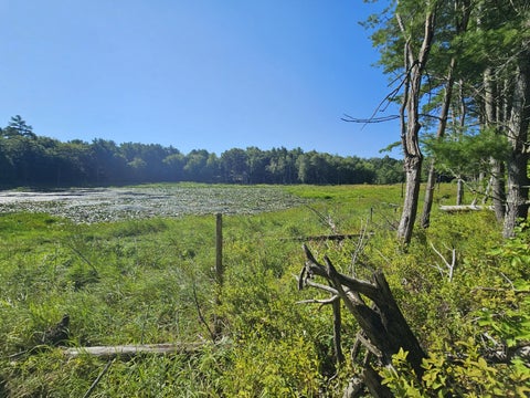 Photo of 105-26 Back Eighty Road, Boothbay, ME 04537 (MLS # 1666431)