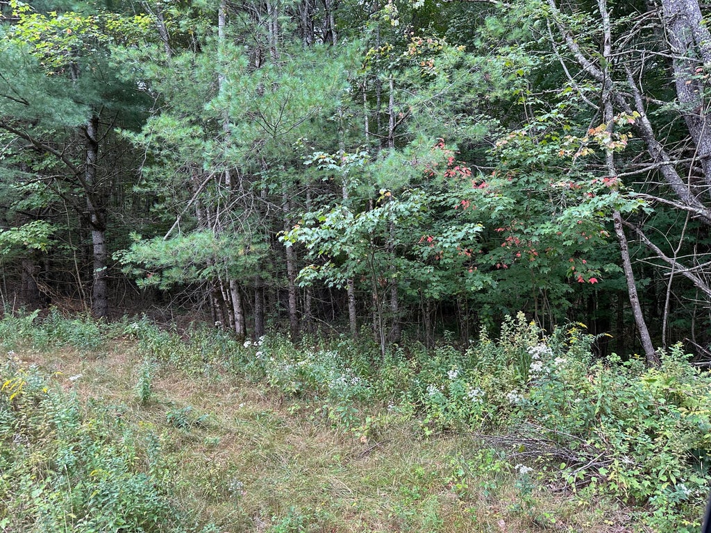 Photo of 25-6B Emery Corner Road, Limerick, ME 04048 (MLS # 1678607)