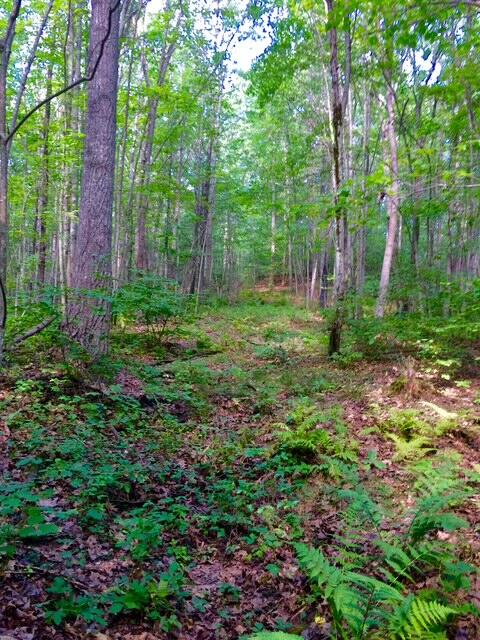 Photo of 265 Webber Hill Road, Kennebunk, ME 04043 (MLS # 1684296)