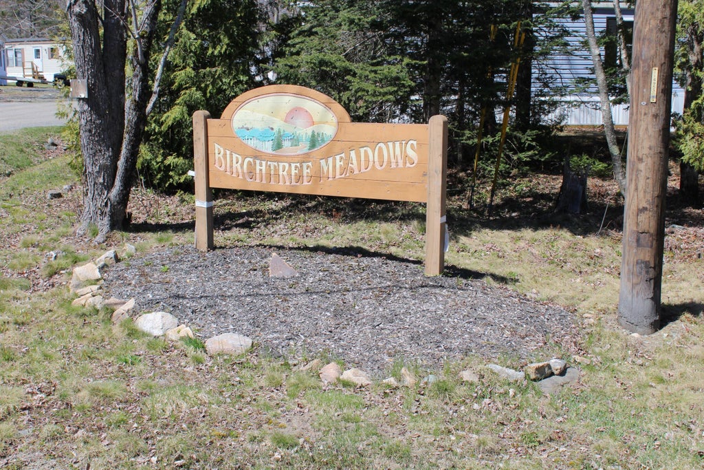 Photo of Rte 182 Franklin Road, Hancock, ME 04640 (MLS # 1659781)