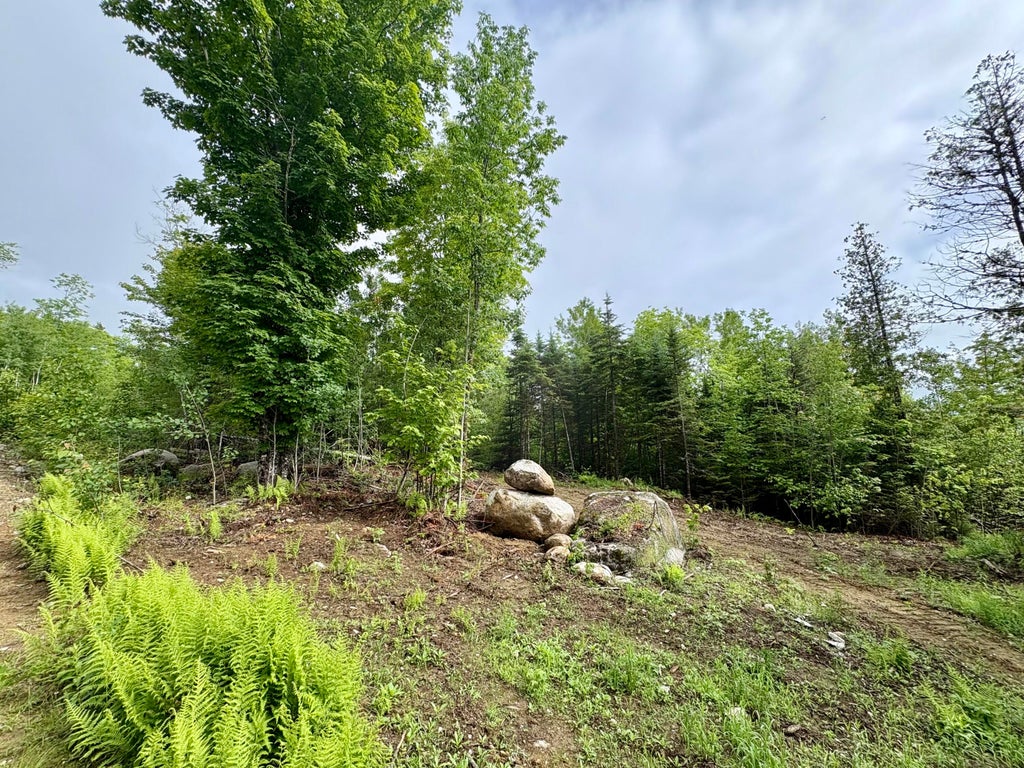 Photo of Lot 10 Mt. Jefferson Heights, Lee, ME 04455 (MLS # 1668635)