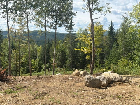 Photo of Lot 10 Mt. Jefferson Heights, Lee, ME 04455 (MLS # 1668635)
