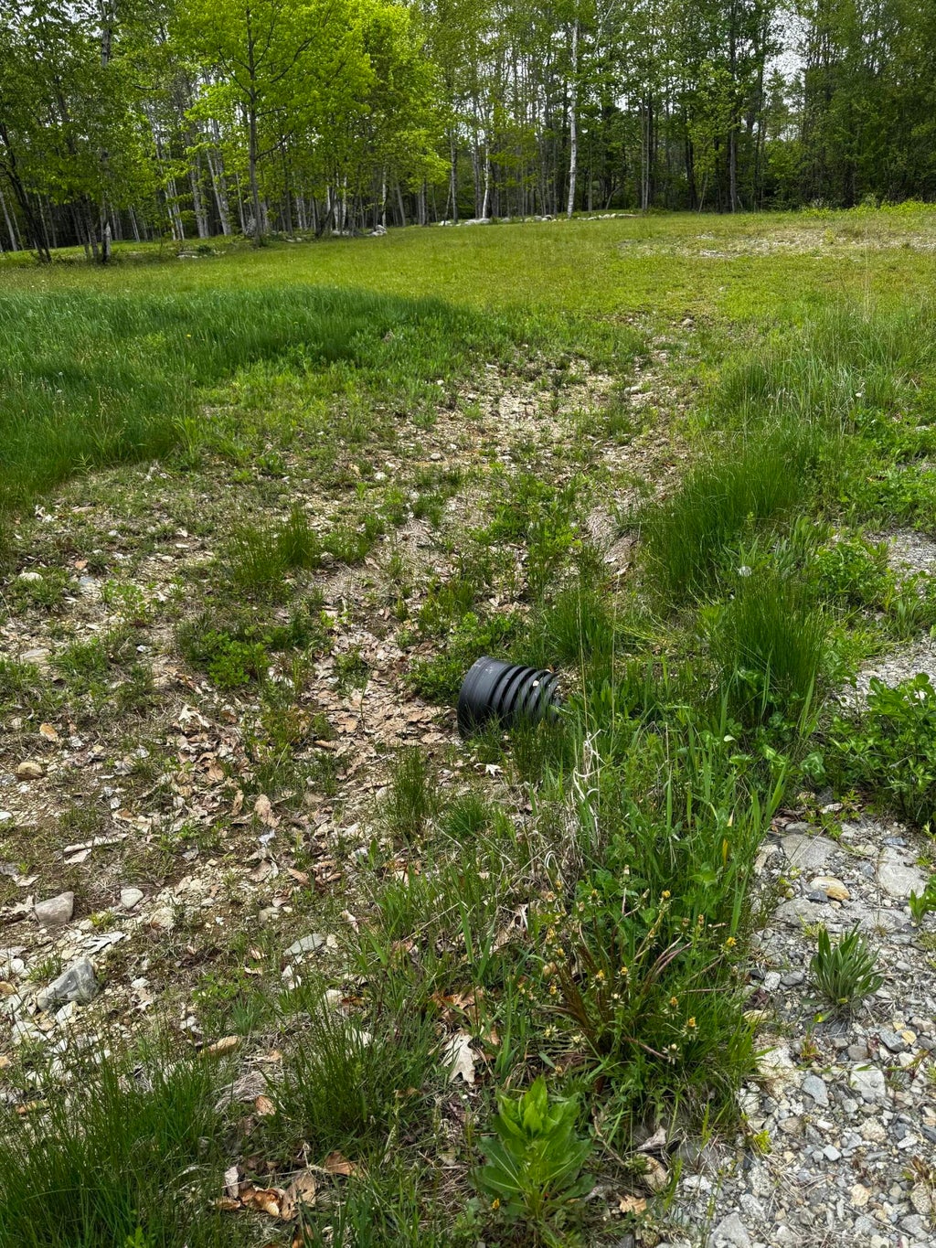 Photo of 00 Leavitt Lane, Palmyra, ME 04965 (MLS # 1667970)
