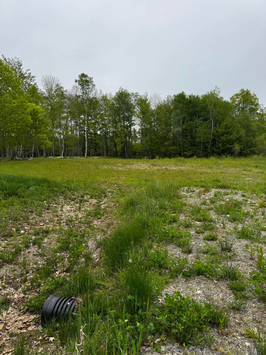 Photo of 00 Leavitt Lane, Palmyra, ME 04965 (MLS # 1667970)