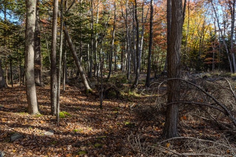 Photo of 217 Seawall Road, Southwest Harbor, ME 04679 (MLS # 1684858)