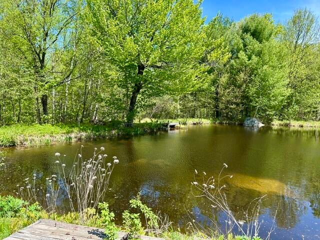 Photo of 60 Mt Blue Pond Road, Avon, ME 04966 (MLS # 1663489)