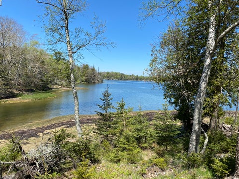 Photo of 20-15 Main Road Road, Islesboro, ME 04848 (MLS # 1684043)
