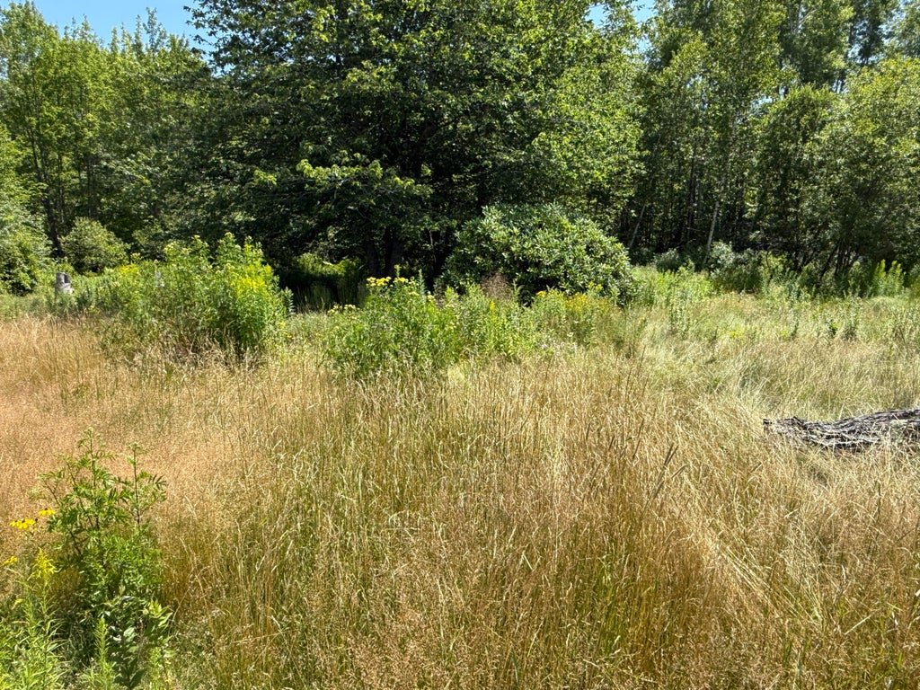 Photo of 13 Brock Road, Searsport, ME 04974 (MLS # 1678796)