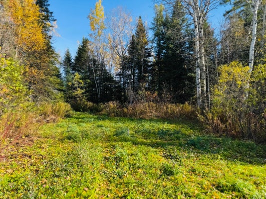 5 PEASE RD, MAPLETON, ME 04757 - Image 3dfe2be6cf689a3cc615b0d45491c84a/2249874102