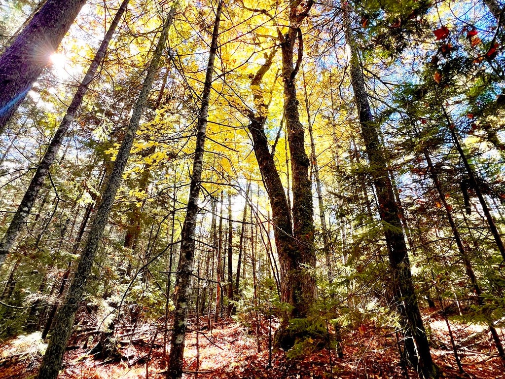 Photo of Lot #E Windsong Way, South Bristol, ME 04573 (MLS # 1685034)
