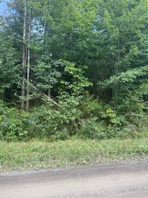 Photo of 30A Fournier Road, Madawaska, ME 04756 (MLS # 1679595)