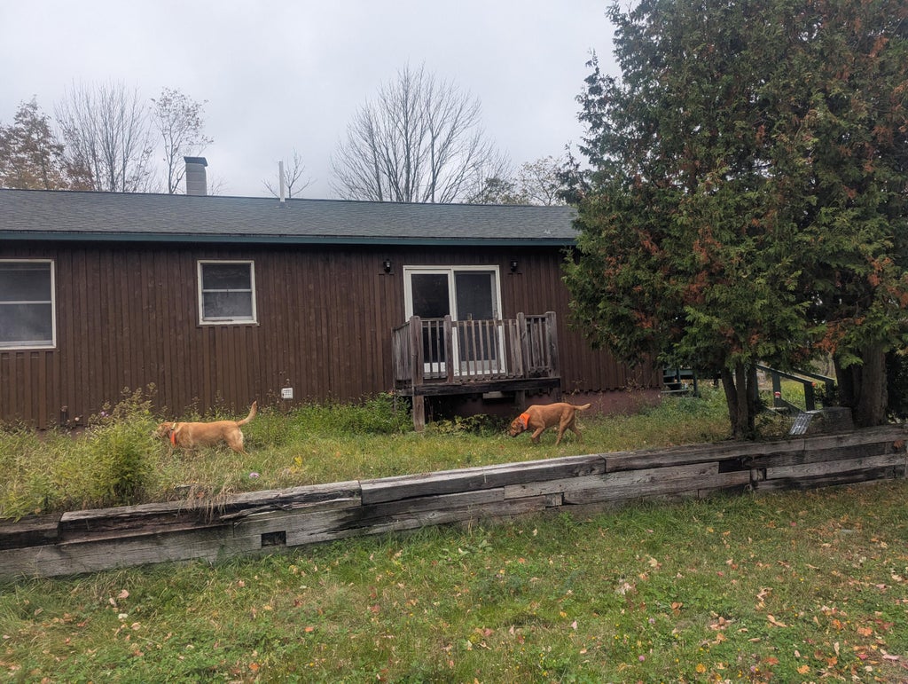 Photo of 177 Storer Road, Bradford, ME 04410 (MLS # 1684611)