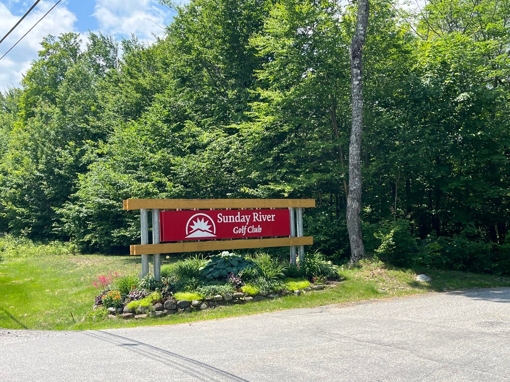 Photo of 0 Mulligan Lane, Newry, ME 04261 (MLS # 1671529)