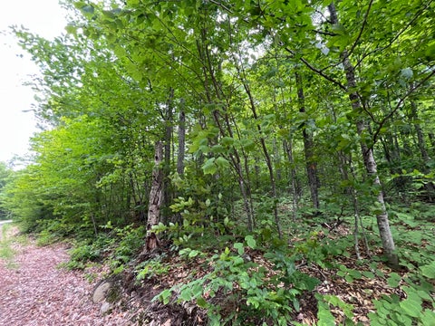 Photo of 6 Mahoosuc Glen, Newry, ME 04261 (MLS # 1671529)