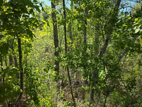 Photo of 4 Goose River Estates, Swanville, ME 04915 (MLS # 1663791)