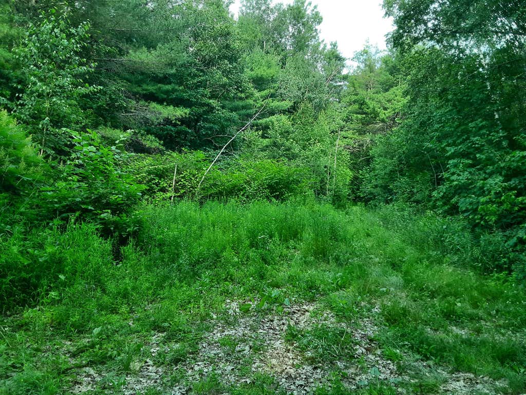 Photo of 0 Ridge Road, Jefferson, ME 04348 (MLS # 1671393)