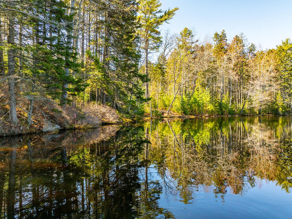 Photo of 25 Deaver Road, Waldoboro, ME 04572 (MLS # 1660437)
