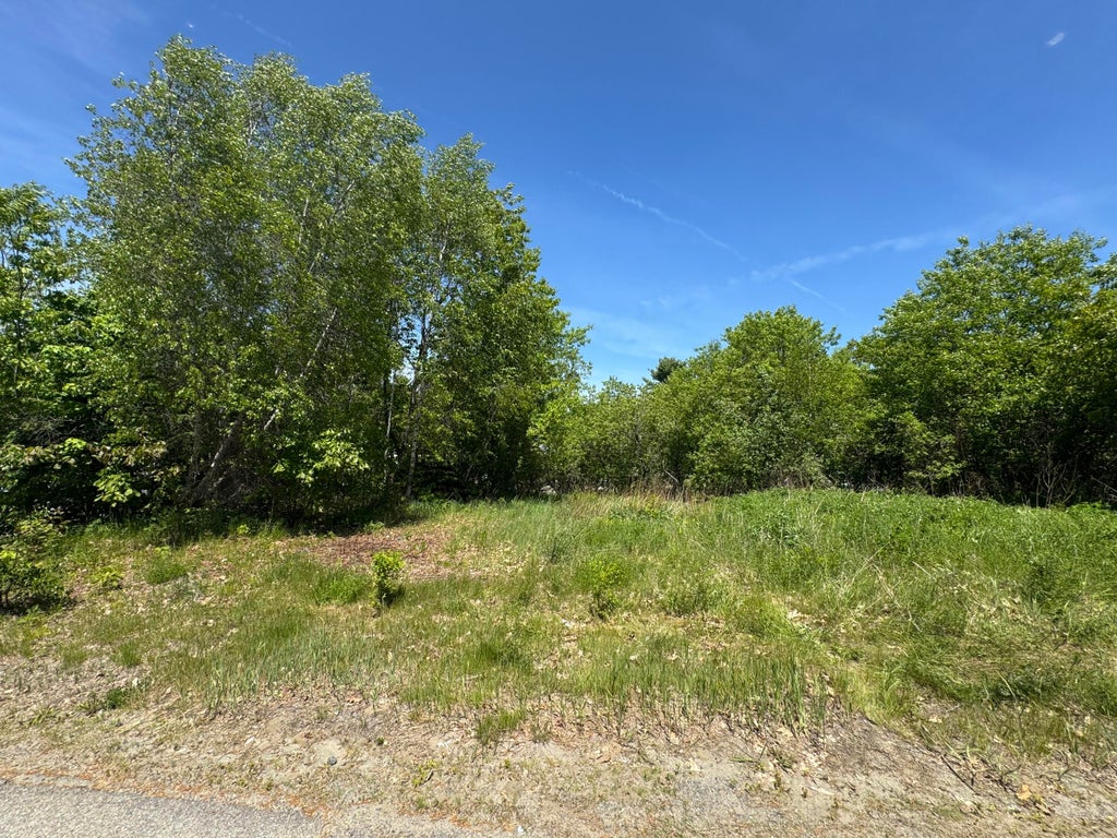 Photo of 43 Henderson Street, Brownville, ME 04414 (MLS # 1665573)