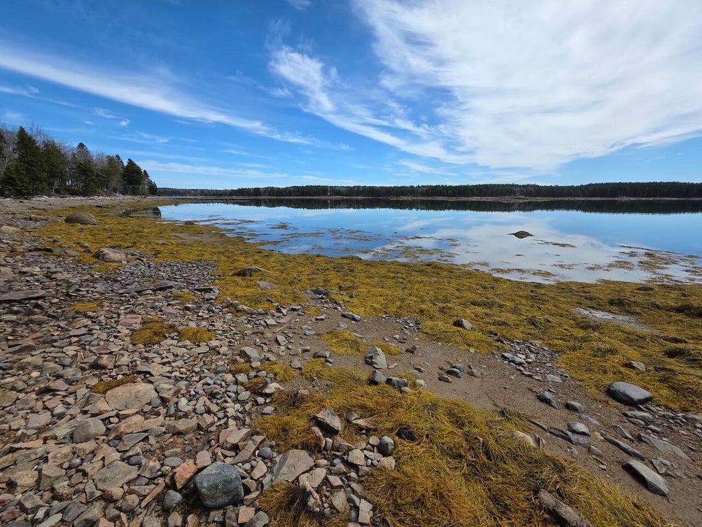 Photo of Lot 4 125 Aspen Lane, Steuben, ME 04680 (MLS # 1674547)