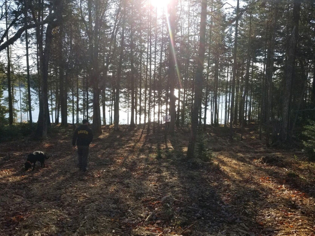 Photo of Lot 4 125 Aspen Lane, Steuben, ME 04680 (MLS # 1674547)