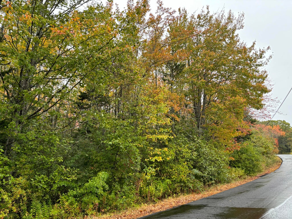 Photo of 253 Hathorne Point Road, Cushing, ME 04563 (MLS # 1640735)