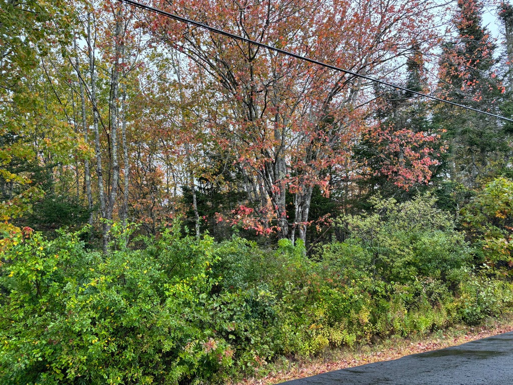 Photo of 253 Hathorne Point Road, Cushing, ME 04563 (MLS # 1640735)