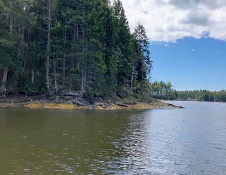 Photo of 253 Hathorne Point Road, Cushing, ME 04563 (MLS # 1640735)