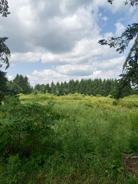 Photo of 855 County Road, Lubec, ME 04652 (MLS # 1679303)