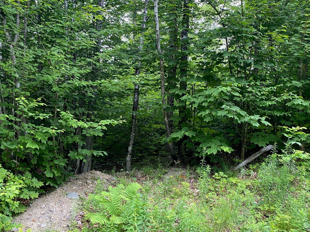 Photo of Lot 29 Scammon Road, Greenville, ME 04441 (MLS # 1630424)