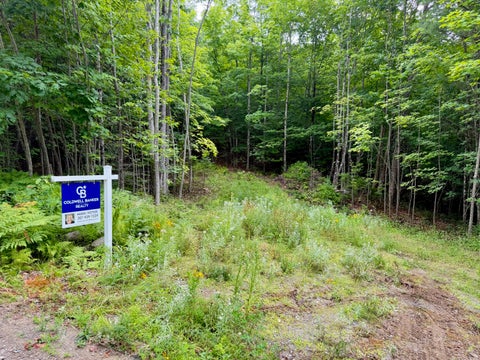 Photo of Lot 2 Mooseley Ridge Road, Phillips, ME 04966 (MLS # 1661657)