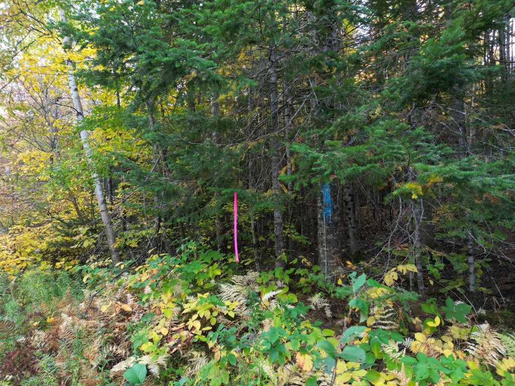 Photo of Lot 1-2 West Tucker Ridge Road, Springfield, ME 04487 (MLS # 1683245)