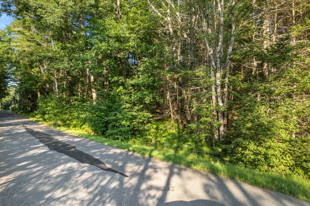 Photo of 00 Rial Herald Road, Bremen, ME 04551 (MLS # 1676732)