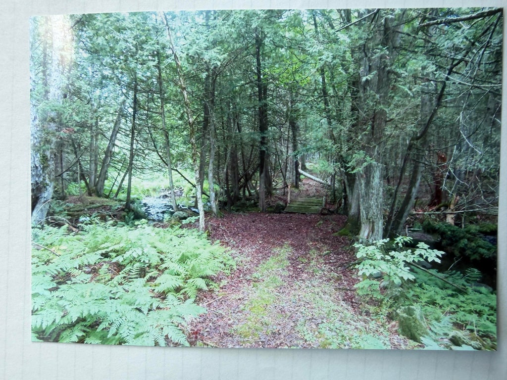 Photo of 510 Milo Road, Dover-Foxcroft, ME 04426 (MLS # 1676036)