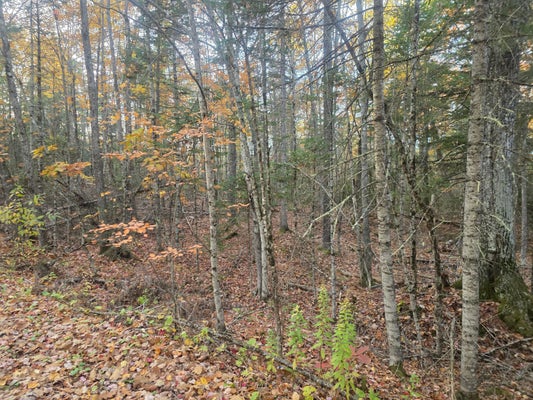 LOT 9(16C) W CIDER MILL LANE, SWANVILLE, ME 04915 - Image 4536b85224befdf8f8d3b3ab93ee9dec/3858982464