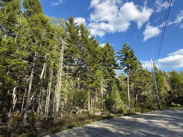 Photo of Lot 13 Pidgeon Point Road, Whiting, ME 04691 (MLS # 1662753)