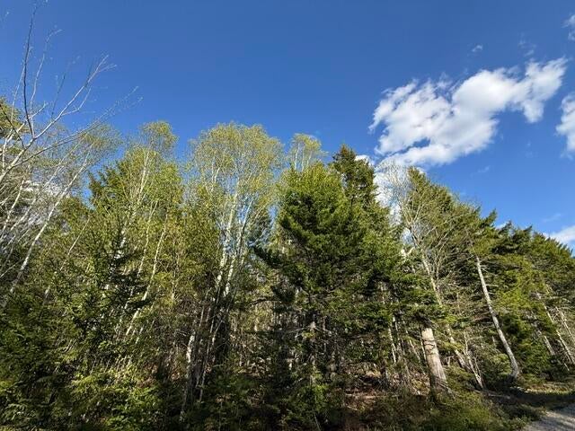 Photo of Lot 13 Pidgeon Point Road, Whiting, ME 04691 (MLS # 1662753)