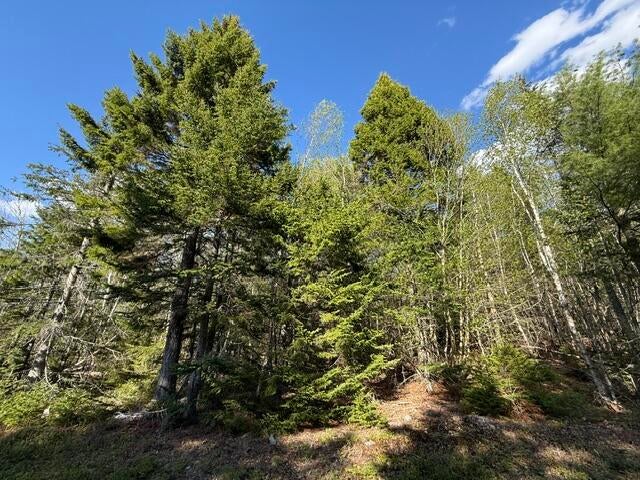 Photo of Lot 13 Pidgeon Point Road, Whiting, ME 04691 (MLS # 1662753)