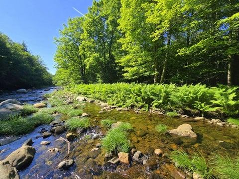 Photo of Lot 67-C Temple Road, Temple, ME 04984 (MLS # 1669434)
