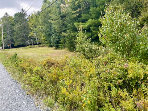 Photo of M7 L3 Lower Dedham Road Road, Holden, ME 04429 (MLS # 1679427)
