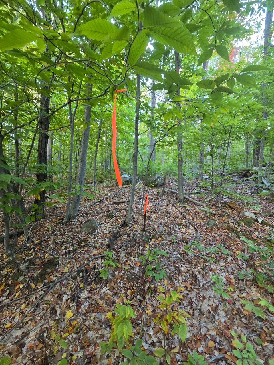 Photo of 63 Sun Valley Drive, Hiram, ME 04041 (MLS # 1684444)